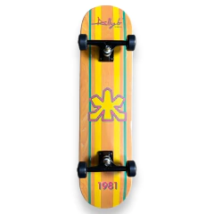 skate Iniciante