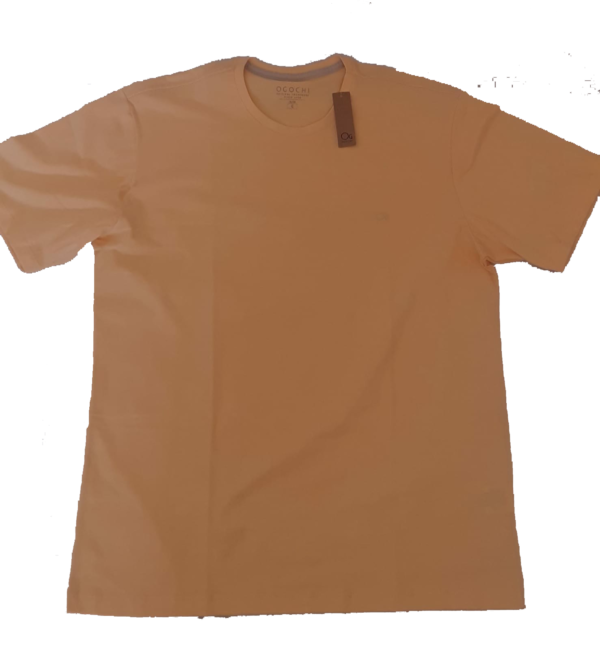 Camiseta Lisa Ogochi